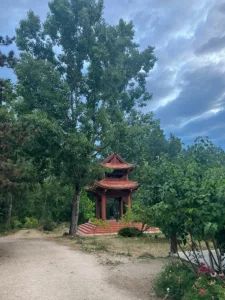 A photo of plum village France, with a an orange bell tower in the centre and green trees surrounding it.