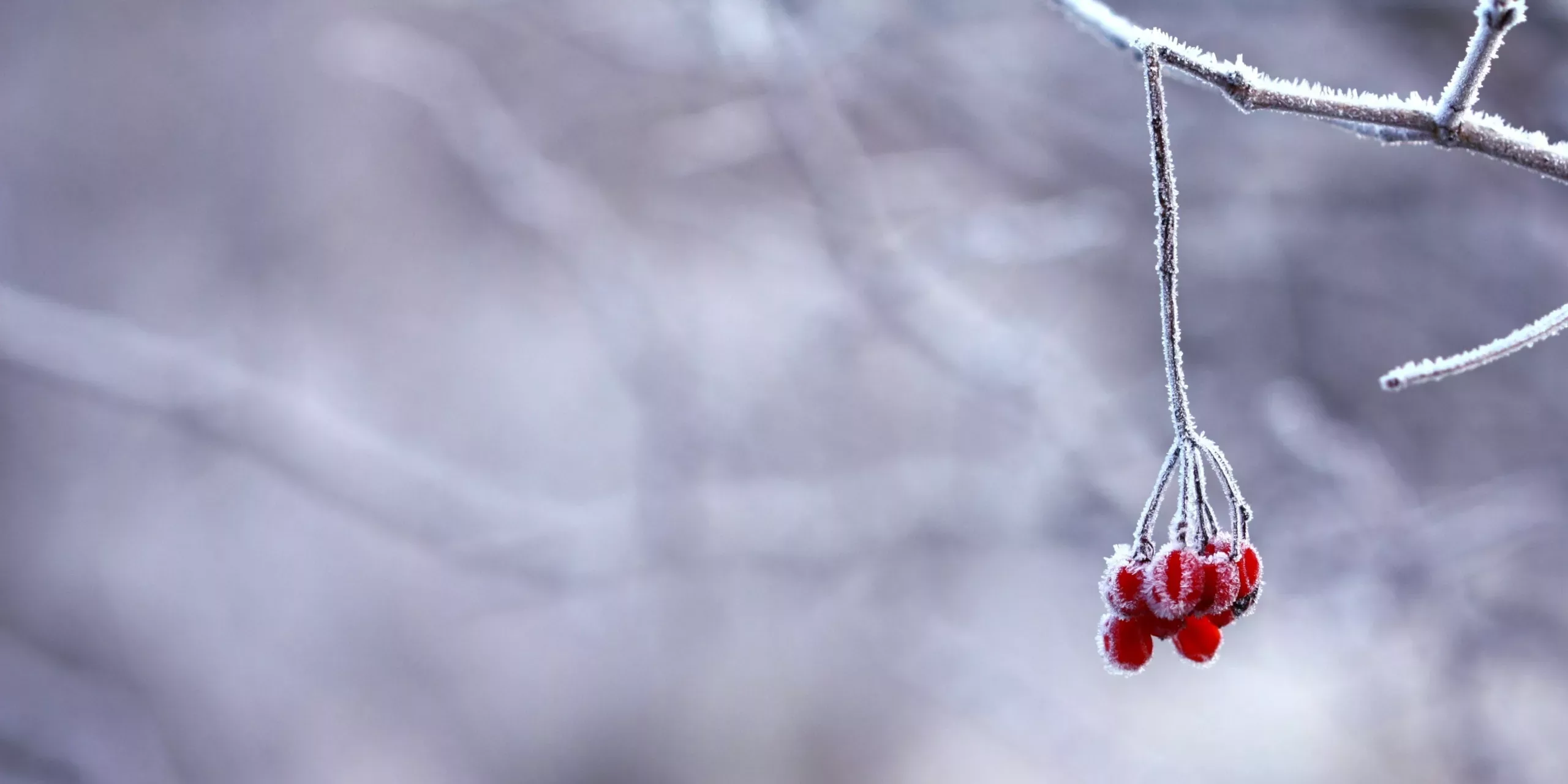 Mindfulness for the festive season